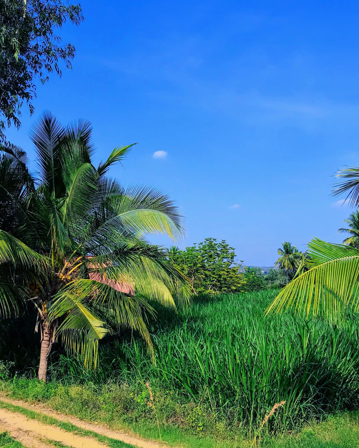 Industrial area for sale EntryIndia